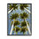 «Palm Trees Overhead» par Dennis Frates