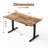 48" Home Office Electric Height Adjustable Standing Desk With Memory Controller-1305390366-1305390365