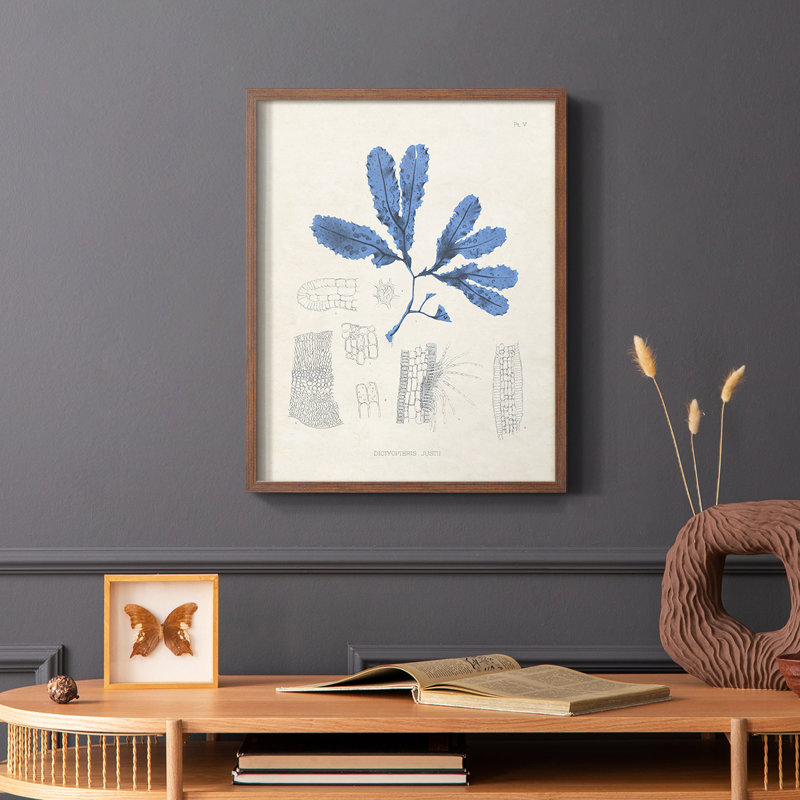 Blue Marine Algae VII, reproduction encadrée - bois massif, Cadre photo brun simple, H 28 po x l 22 po