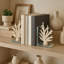 "Serre-livres décoratifs corail sur base en verre - Serre-livres d'inspiration côtière moderne pour bibliothèque, bureau ou décoration intérieure - ensemble de 2, 7" ", blanc