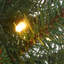 Sapin d'entrée 4 pi avec lumières DEL The Holiday Aisle® First Traditions Scotch Creek