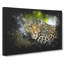 Leopard Vol.2 - Wrapped Canvas Print-61882148