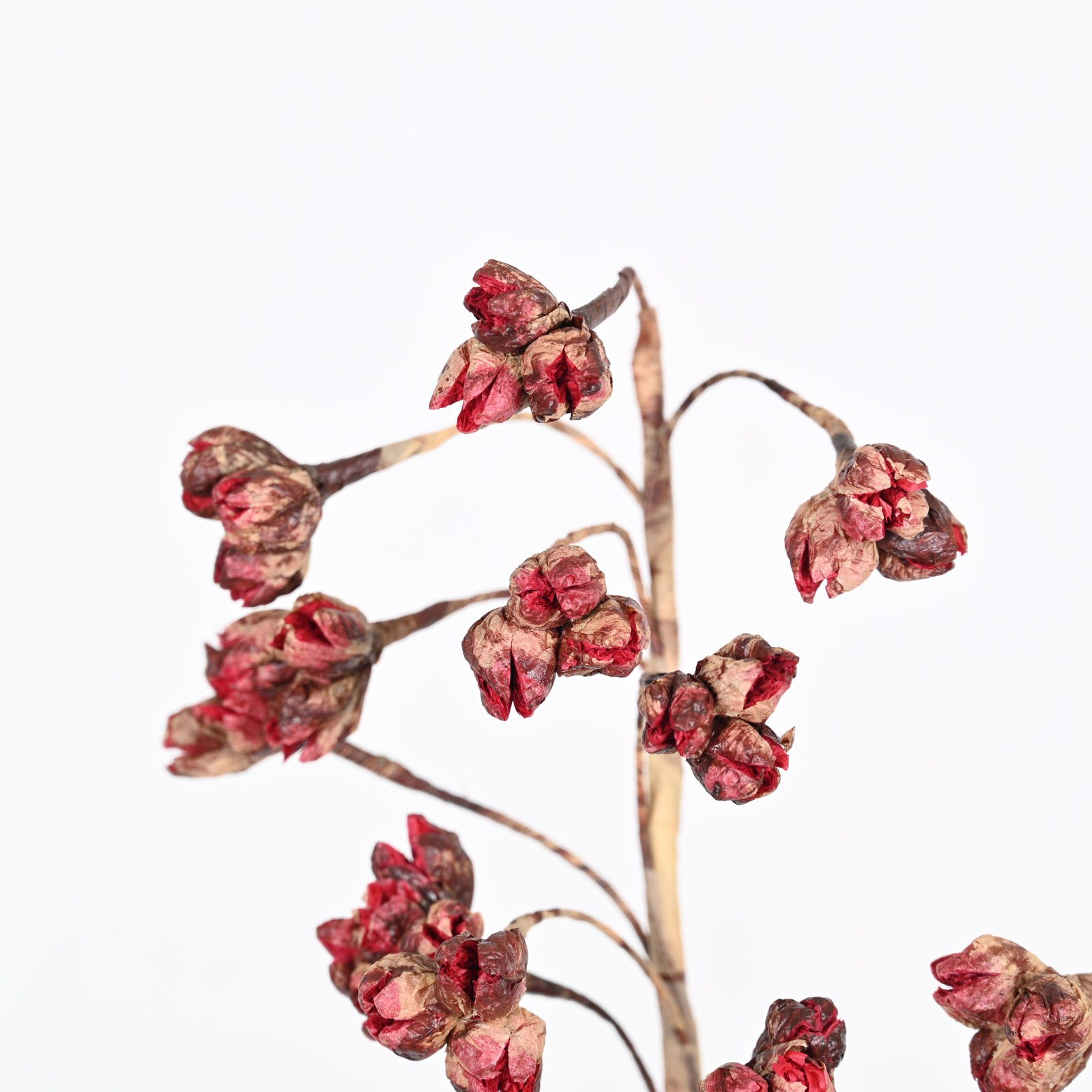 Wildflower Floral Arrangement