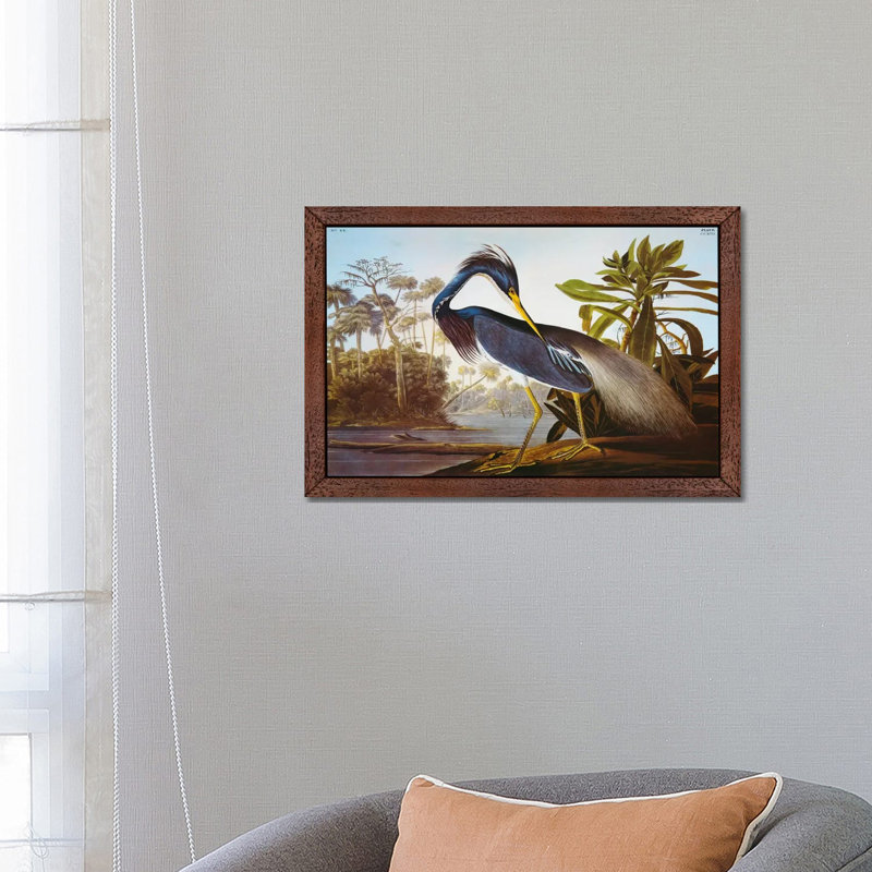Louisiana Heron From "Birds Of America" by John Audubon - Painting on Canvas, 66.04 cm H x 45.72 cm W, Brown Framed