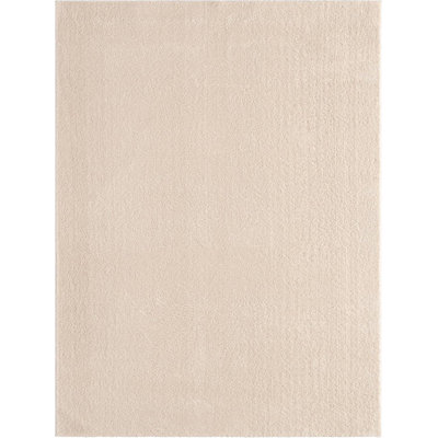 RUNNER Dennesly Solid Colour Plain Weave 80cm X 150cm Area Rug