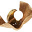 Ravello 1 - Light Flush Mounted Sconce