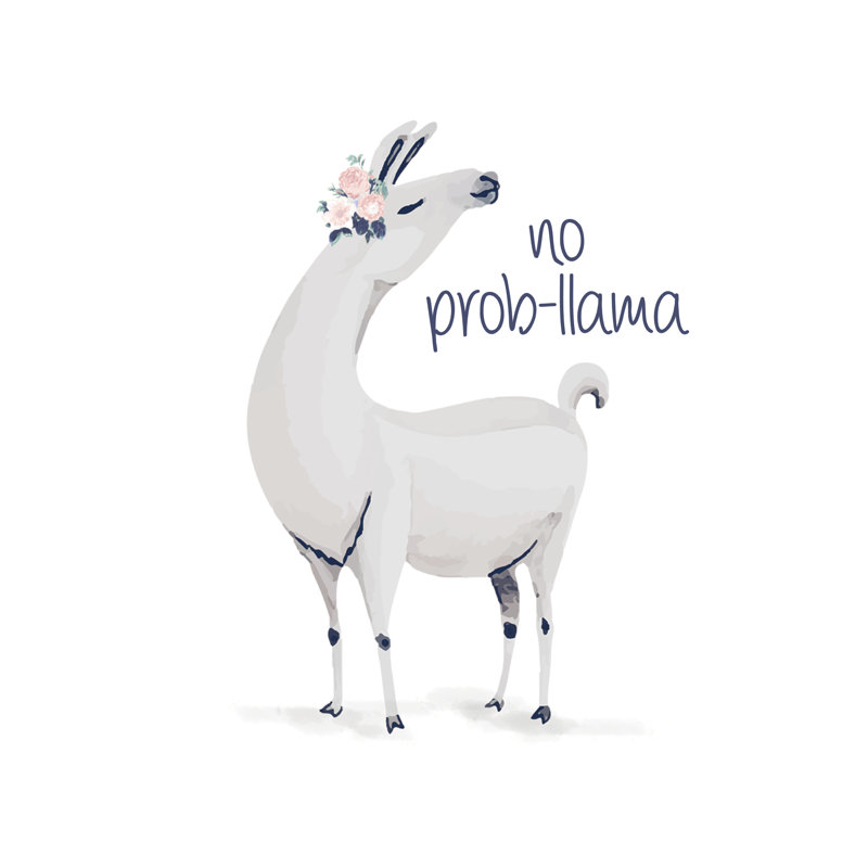 No Probllama - Wrapped Canvas Rectangle Print, 76cm H x 51cm W x 3.8cm D