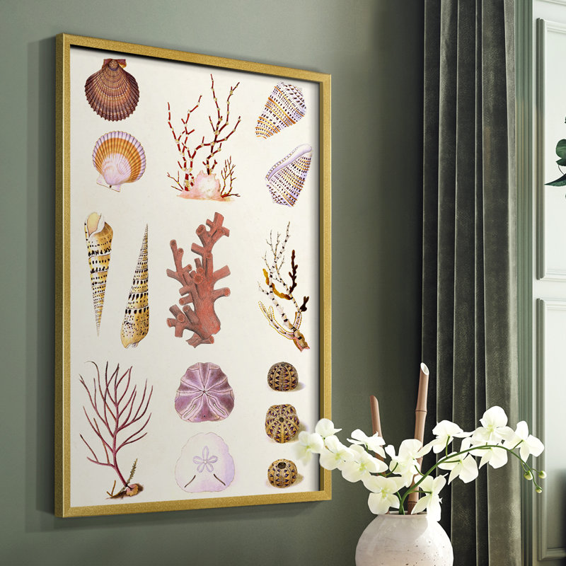Coral & Shell Collage II Framed Print - Solid Wood, 20" H x 16" W