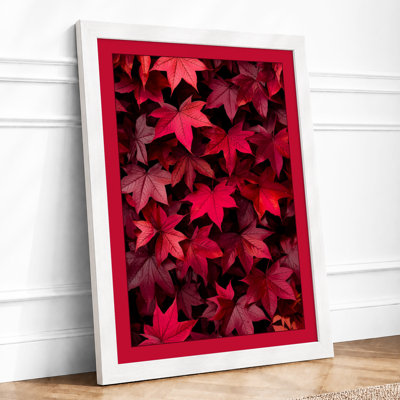 Crimson Canopy Botanical - Framed Print