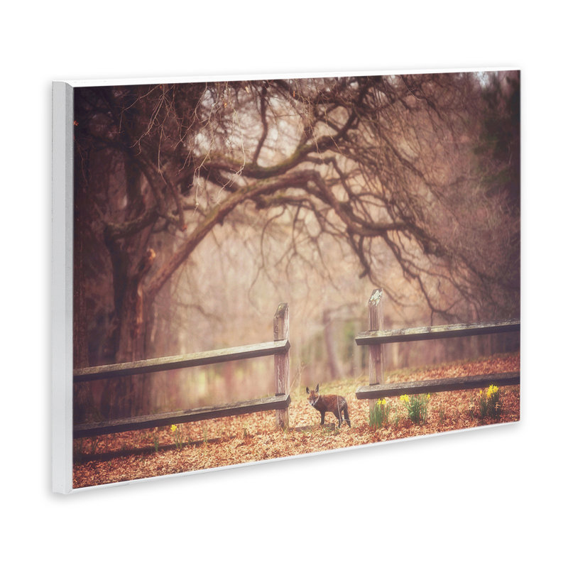 Plaque murale «Sly Guy Fox in Forest» par Carrie Ann Grippo-Pike, H 10 po x l 15 po