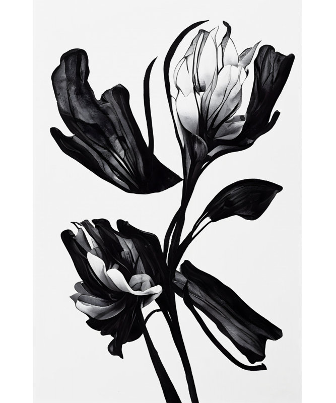 Wrapped Canvas Print, 76.2 cm H x 50.8 cm W