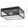 2 - Bulb Outdoor Flush Mount