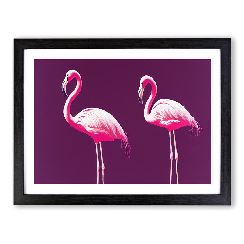 Flamingos - Single Picture Frame Print, Black Framed, 46cm H x 64cm W x 2cm D