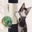 Arbre à chat 33 "Mcquiston-1126609183