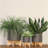 5" PLANTER W/ WOOD STAND, MATTE GRAY-1524185731