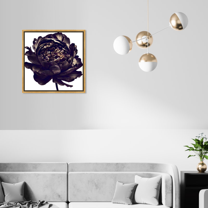 Pivoine noire - Impression sur toile, Encadrement doré, H 21,5 po x l 21,5 po