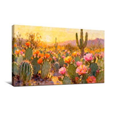 Plantes et fleurs, cactus du désert, paysage coucher de soleil