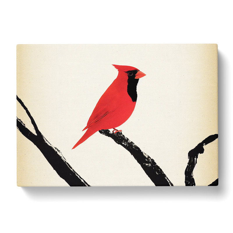 Cardinal Bird - Wrapped Canvas Print, 40cm H x 60cm W x 3cm D