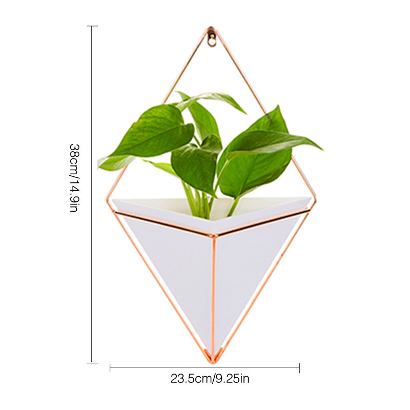 Abedin Hanging Planter