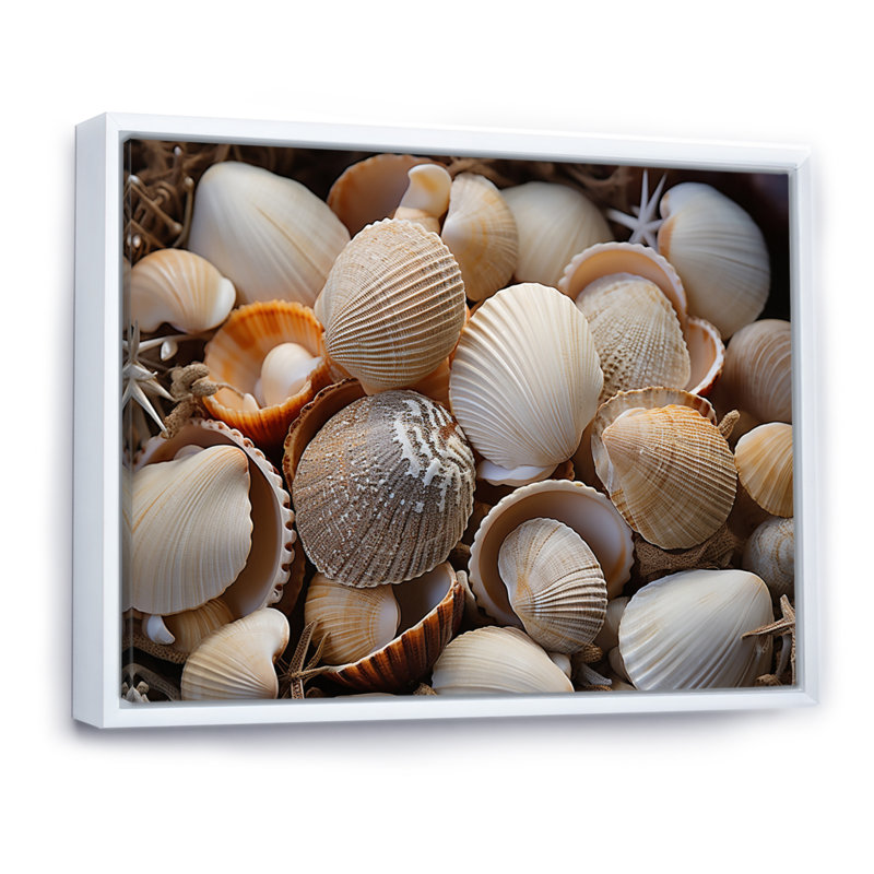 «Beach Photo Seashell Symphony IX - Nautique et plage, reproduction d'art sur toile, 34" H x 44" W, Cadre flottant blanc