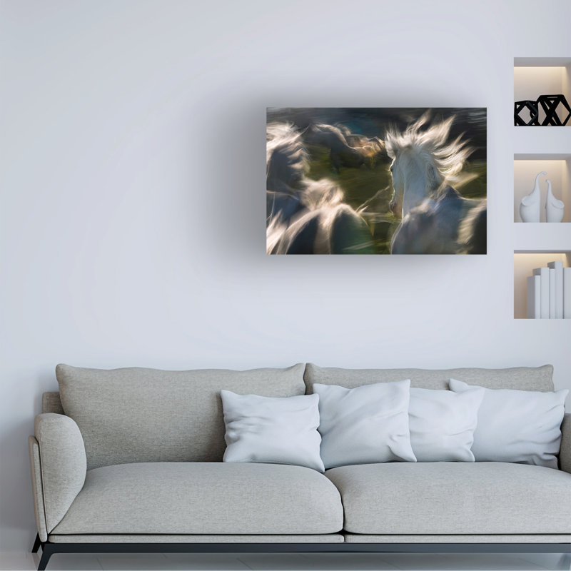Art sur toile Milan Malovrh Saeta Equina, H 12 po x l 19 po