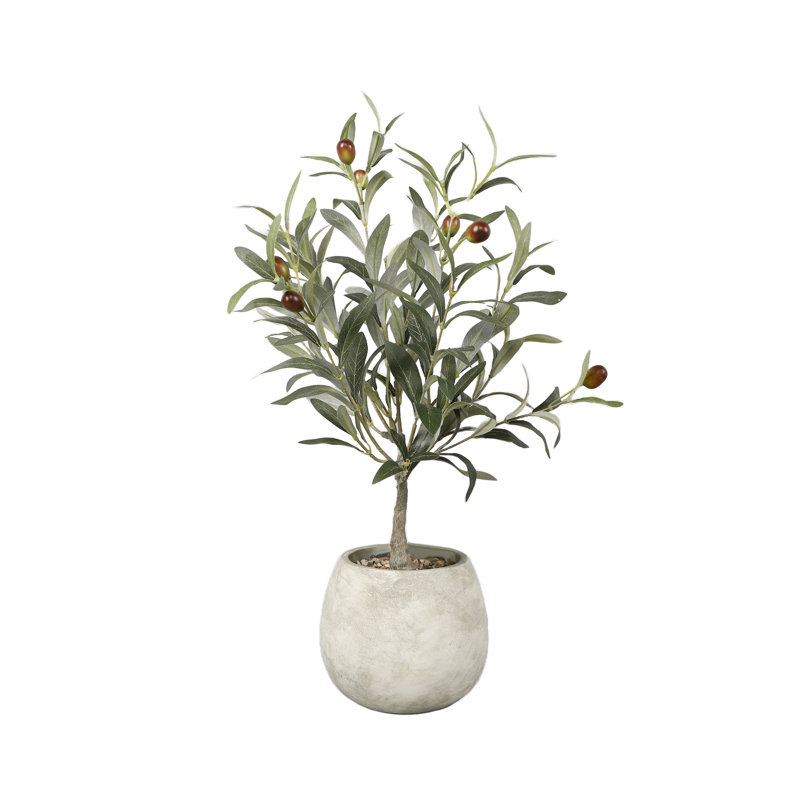 Kirby 21.25'' Faux Olive Tree Tree in Cement Planter