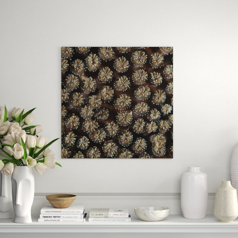 Underwater Beauty II Print by Austin Beiv, Plexi (Rendering on Plexiglass), 30" H x 30" W x 1.5" D