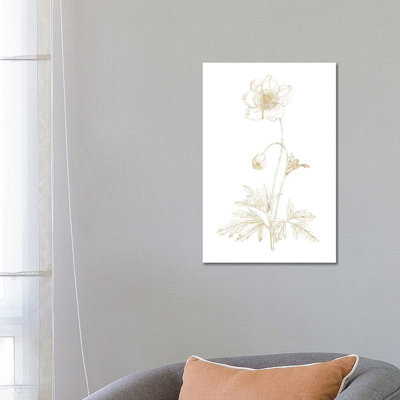 Gilded Botanical II by Wild Apple Portfolio - Wrapped Canvas Painting