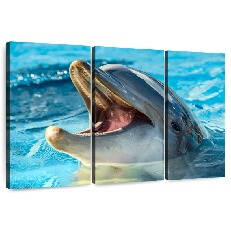Brampt Smiling Playful Dolphin, 28" H x 45" W