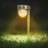 Steel Low Voltage Solar Powered Integrated LED Pathway Light