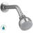 Coralais Single-Function Showerhead-13237285-125075891