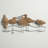 Coastal Wall Decor