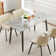 Khaleesie Rectangular Sintered Stone Ceramics Dining Table