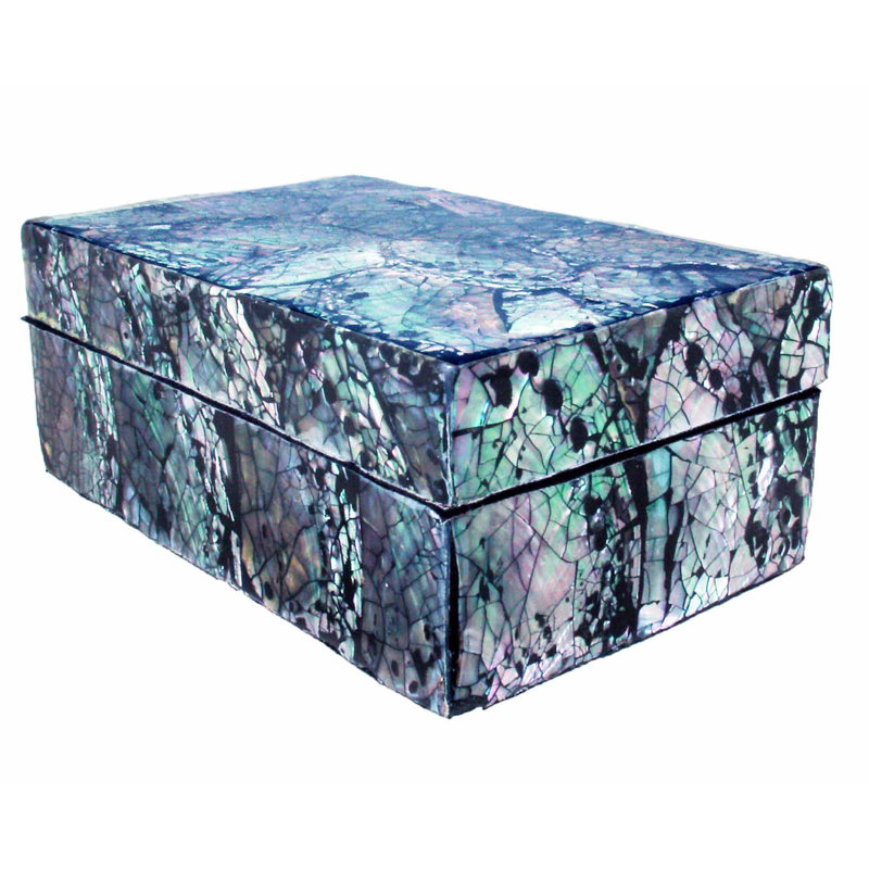 Boîte rectangulaire à scintillement shells, H 2,3 po x l 3,8 po x P 6 po