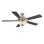 Ventilateur de plafond à 5 pales 52 po Galeson - Nickel brossé avec nickel brossé et pales réversibles noir mat et verre gravé à l'eau-forte