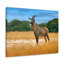 No Frame Print on Canvas