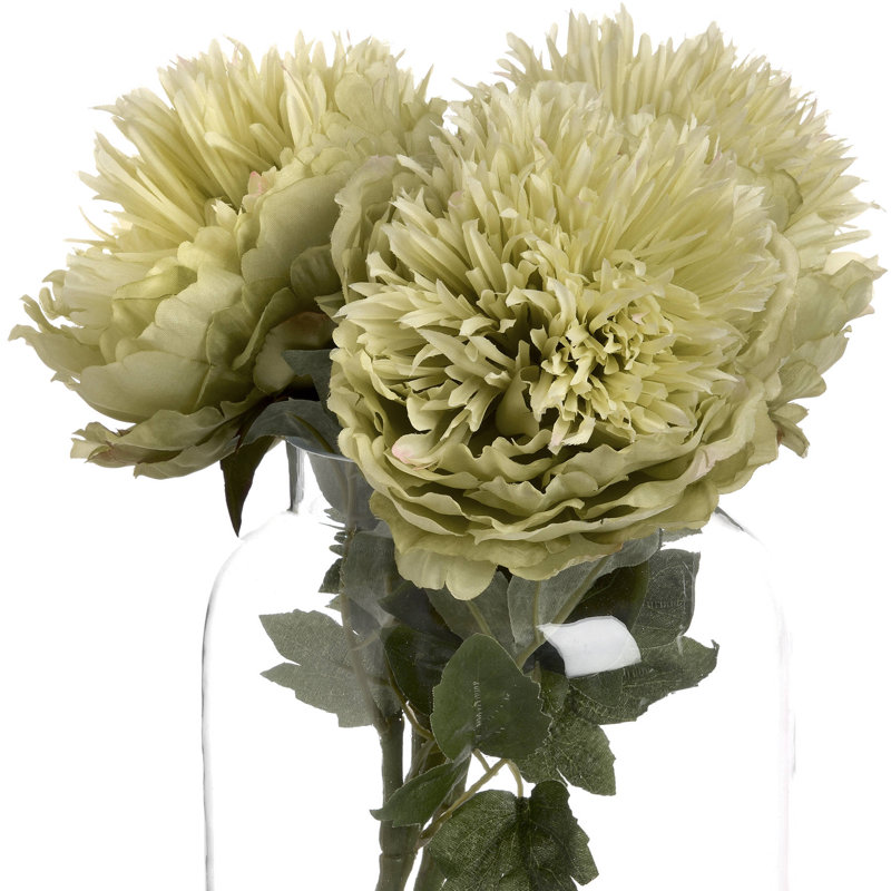 Anastasija Arrangement
