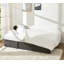 Baerl 84" Sofa Bed Pull Out Bed with Storage Chaise-339518118