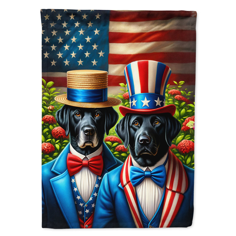 Drapeau «All American House», Étoile bleue / Labrador rouge