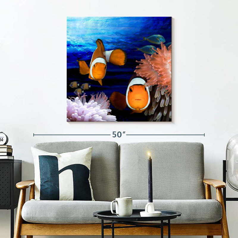 Crowle Sea Creatures Clown Fish