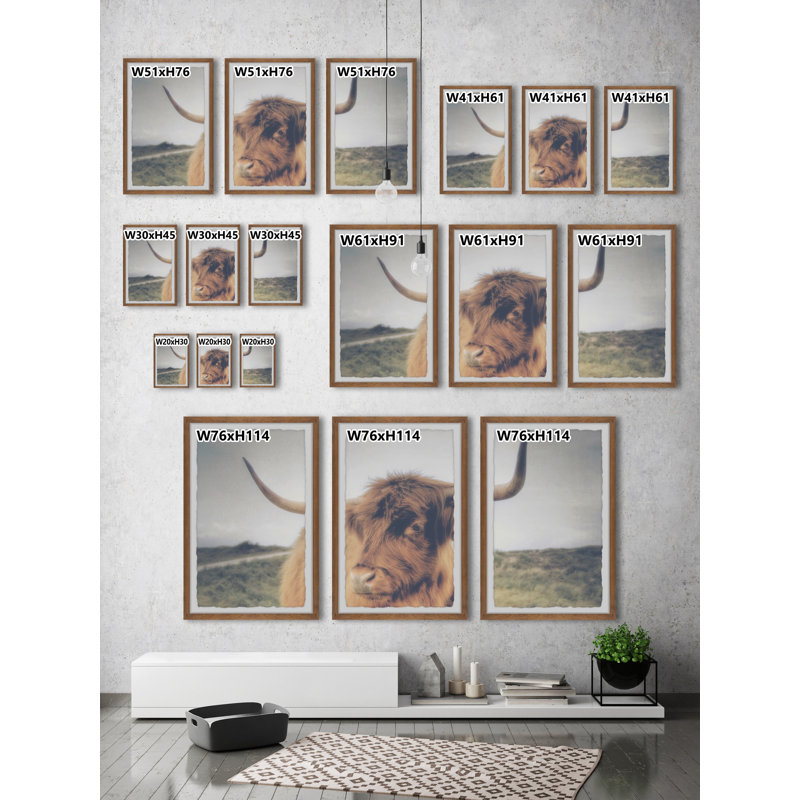 Summit Cow's Eye View - 3 Piece Single Picture Frame Print, 91cm H x 61cm W x 3.81" D