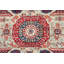 Aryana Wool Oriental Area Rug