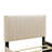 Velvet Upholstered Platform Bed with Trundle-106492948-112511388