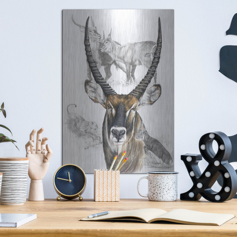«Waterbuck» par Barbara Keith, H 16 po x l 12 po