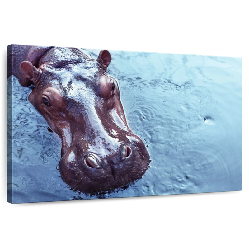 Hippopotame Brampt, H 26 po x l 39 po