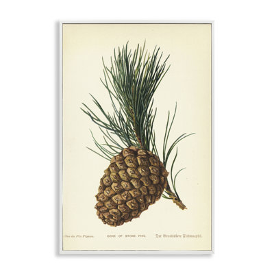 Detailed Pine Cone Sprig Giclee Art by Tina Higgins Designs, Inc.