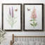 «Wildflower Botanical I», ensemble de 2 reproductions d'art-808463877-817738521-808463899