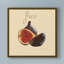 « italien fruit vi », reproduction d’impression sur toile tendue-33513915
