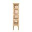 Chippendale Bookcase-111532603