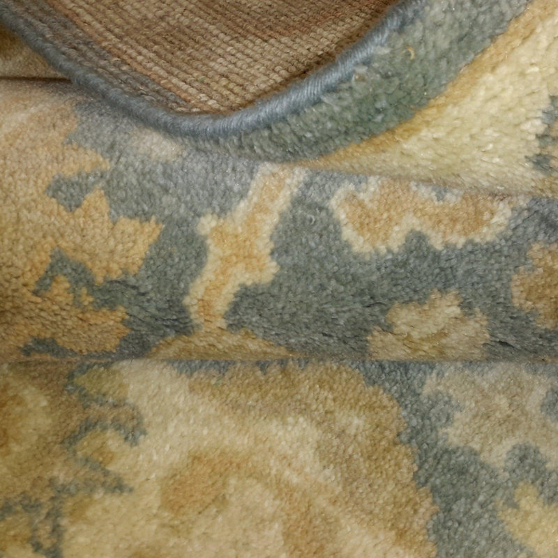 Piccarda Oriental Area Rug in Blue